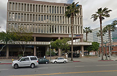 consul